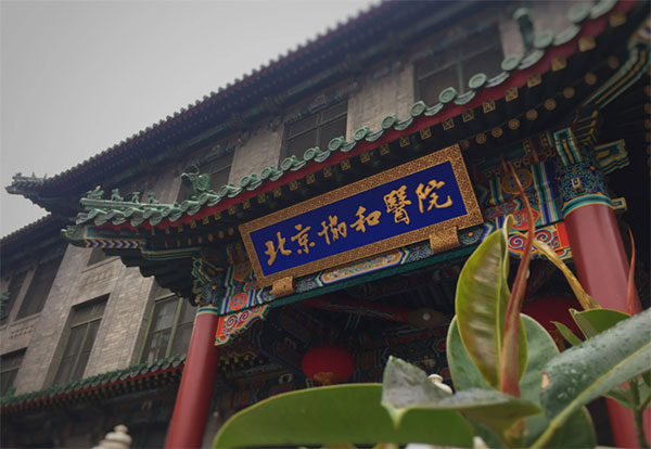 澳门原料免费